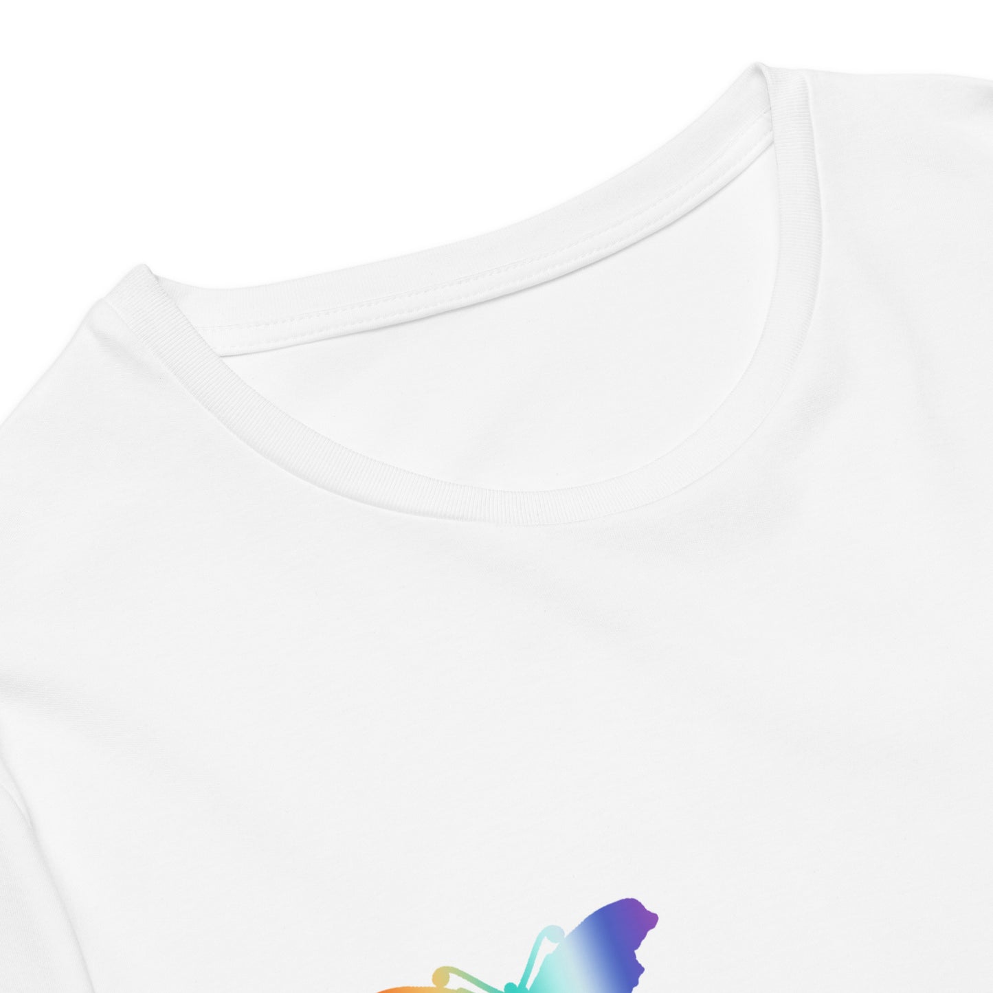 Logo collection｜Men's premium cotton t-shirt｜Rainbow(R) and Front